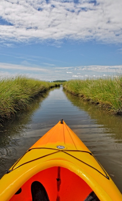 Kayak in marsh
